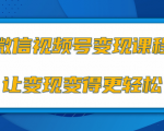 微信视频号变现项目，0粉丝冷启动项目和十三种变现方式-润泽资源库