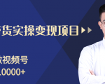 柚子分享课：微信视频号变现攻略，新手零基础轻松日赚千元-润泽资源库