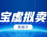 黑帽子淘宝虚拟卖货项目，单店每月收入5000+-润泽资源库