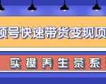柚子视频号带货实操变现项目，零基础操作养身茶月入10000+-润泽资源库
