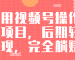 视频号操作书单变现项目，后期轻松变现，完全躺赚日入300至500元-润泽资源库