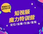 零基础小白进阶到大神《短视频魔力特训营》定位-运营-引流-变现-润泽资源库