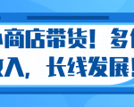 微信小商店带货,爆单多倍收入,长期复利循环!日赚300-800元不等-润泽资源库