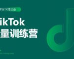 2020最新TikTok流量增长训练营(完结)附PPT-润泽资源库
