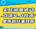 实战闲鱼被动引流4.0技术，坐等粉丝来找你，实操演示日加200+精准粉-润泽资源库