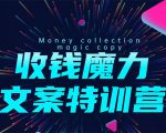 8堂收钱魔力文案特训营：让你的文案成为你的财富印钞机，靠文章日赚千元-润泽资源库