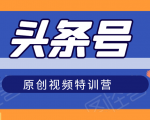 头条号原创视频特训营:一对一带你玩转短视频,新号10天日收益破252元-润泽资源库