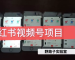 野路子小红书视频号1.0项目，直接上手操作就能赚钱的视频号项目-润泽资源库