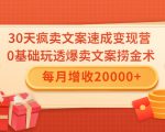 30天疯卖文案速成变现营,0基础玩透爆卖文案捞金术!每月增收20000+-润泽资源库