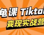 龟课·TikTok变现实战训练营线上第1期，多种变现模式，轻松赚美刀-润泽资源库