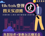 tiktok变现四天实战班,连怼技术+矩阵玩法赚美金!价值998元-润泽资源库