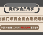 暴利偏门项目全套合集视频教程:你要的日赚1000+月入几万+项目都有-润泽资源库