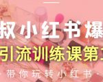 狼叔小红书爆款推广引流训练课第12期,手把手带你玩转小红书-润泽资源库