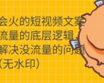 只说话就会火的短视频文案课，从根本上解决没流量的问题-润泽资源库