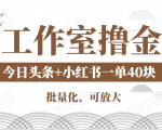 工作室撸金二件套：撸今日头条原创收益+小红书一单利润40块项目-润泽资源库