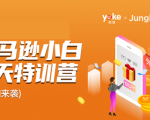 雨课·亚马逊小白特训营第9期 跨境电商挺赚钱的 有朋友已经月入几十万美金-润泽资源库