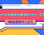 详细解析TIKTOK如何利用海外CPS+工具0粉丝轻松变现月入过万-润泽资源库
