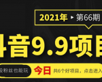 抖音9.9课程项目，没粉丝也能卖课，一天300+粉易变现-润泽资源库
