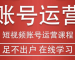 短视频账号运营课程：从话术到短视频运营再到直播带货全流程，新人快速入门-润泽资源库