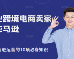 职业跨境电商卖家聊亚马逊：亚马逊运营的10项必备知识，12堂课让你看懂亚马逊运营-润泽资源库
