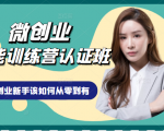 微创业全能训练营认证班课程,从理论知识与实际案例手把手指导创业新手如何从零到有-润泽资源库