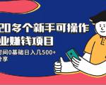 20多个新手可操作的副业赚钱项目:业余时间0基础日入几500+实操分享-润泽资源库