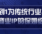 从0到1为传统行业打造抖音商业IP简单高效的保姆级攻略-润泽资源库
