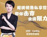 有料识堂·超级销售私享课,解密顶级销售的套路打法助你升级销冠-润泽资源库