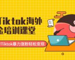 最新Tiktok海外掘金培训课堂：带你玩转Tiktok暴力涨粉轻松变现-润泽资源库