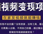 在家也能操作的短视频赚钱项目，无需真人，不用拍摄，纯搬运月入2到5万-润泽资源库