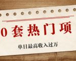 30套热门项目:单日最高收入过万 (网赚项目、朋友圈、涨粉套路、抖音、快手)等-润泽资源库