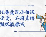 全民任务变现小白课，不用带货，不用直播，拍视频就能赚钱-润泽资源库