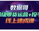 数据哥·超级带货运营+投手线上速成课,快速提升运营和熟悉学会投手技巧-润泽资源库