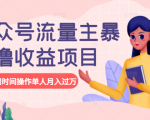 公众号流量主暴利撸收益项目，空闲时间操作单人月入过万-润泽资源库