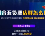 蟹老板·抖音无货源店群怎么做，吊打市面一大片《抖音无货源店群》的课程-润泽资源库