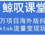 鲸叹号·海外TIKTOK训练营,百万项目海外版抖音tiktok流量变现玩法-润泽资源库
