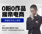 猴帝电商直播起号课,零粉零作品开播底层逻辑,直播五天打爆广场流量-润泽资源库