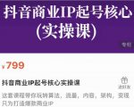抖音商业IP起号核心实操课，带你玩转算法，流量，内容，架构，变现-润泽资源库