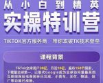 Seven漆·2022Tiktok从小白到精英实操特训营,带你掌握Tiktok账号运营-润泽资源库