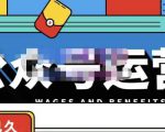零零已久·从0-1运营公众号，零基础小白也能上手，系统性了解公众号运营-润泽资源库
