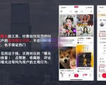 麦子互娱短视频带货·0基础做好物分享账号,无需出镜无需货源无需拍摄-润泽资源库