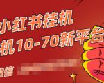 视频号小红书抖音挂机项目,小白无脑操作,按照要求来,单号每天几十米-润泽资源库