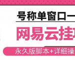 网易云挂机项目云梯挂机计划,永久版脚本+详细操作视频-润泽资源库