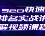 seo快速排名实战讲解视频课程，揭秘seo快排原理-润泽资源库