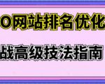 樊天华·SEO网站排名优化实战高级技法指南，让客户找到你-润泽资源库