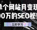 单个网站月变现100万的SEO秘密,百分百做出赚钱站点-润泽资源库