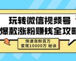 玩转微信视频号爆款涨粉赚钱全攻略,快速涨粉百万变现万元秘诀-润泽资源库