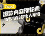 【毒舌电影合伙人亲授】抖音爆款内容涨粉课,5000万抖音大号首次披露涨粉机密-润泽资源库