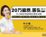 叶小鱼21天短视频文案拆书营,学完轻松搞定各类书单短视频文案-润泽资源库