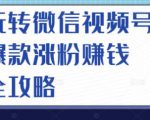 玩转微信视频号爆款涨粉赚钱全攻略，让你快速抓住流量风口，收获红利财富-润泽资源库